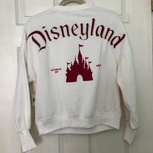 Disneyland Christmas spirit jersey